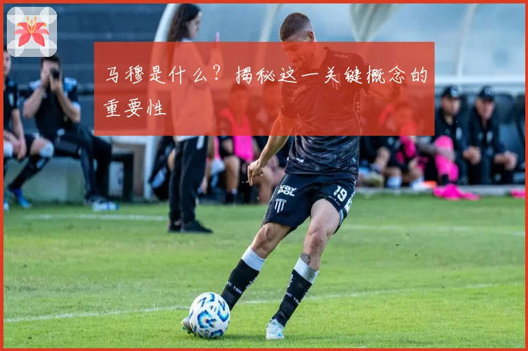 马穆是什么？揭秘这一关键概念的重要性